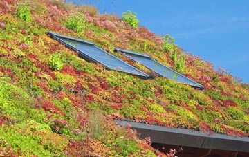 Littlefield living roof systems