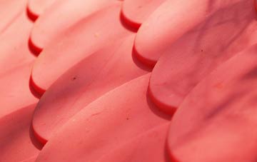 Littlefield plastic roof costs